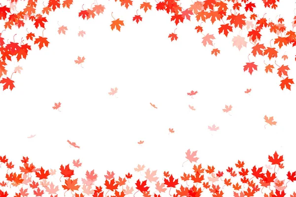 Разноцветные Осенние Листья Белом Фоне — стоковое фото