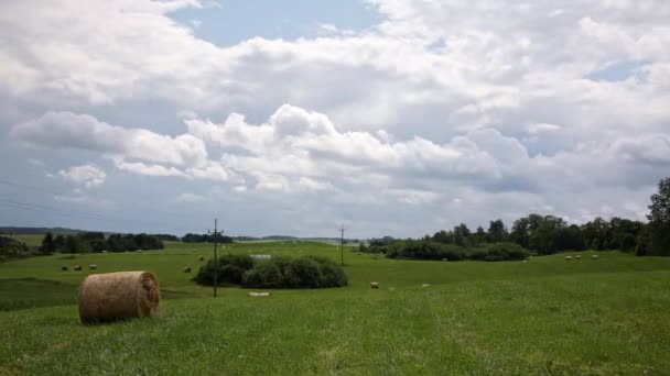 Landelijk Landschap Met Hooibalen Timelapse — Stockvideo