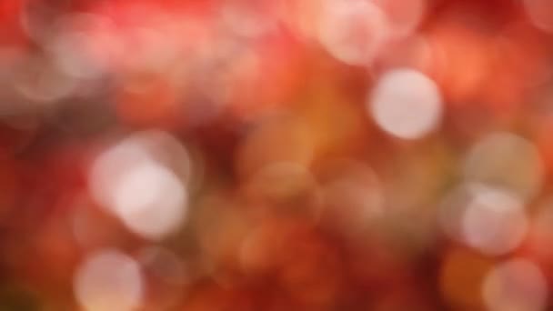 Defocused Natural Bokeh Colorful Lights Background — Wideo stockowe