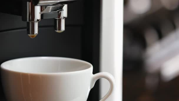 煮新鲜咖啡的咖啡机 — 图库视频影像