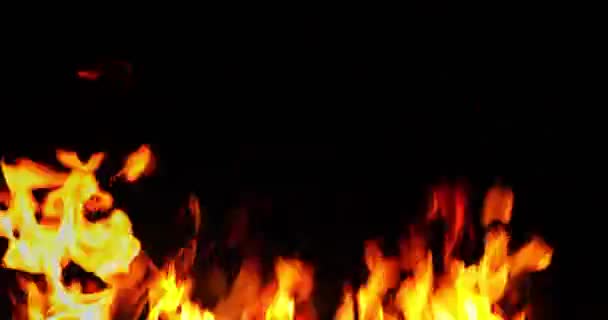 Flames Camp Fire Burning Night Close Flames Burning Black Background — Stock Video