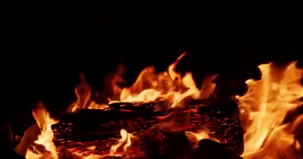 营火在夜间燃烧产生的火焰 在黑色背景上燃烧的火焰的特写 — 图库视频影像