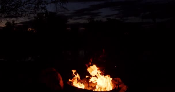 キャンプファイヤーからの炎夜の燃焼 黒の背景に燃える炎のクローズアップ — ストック動画