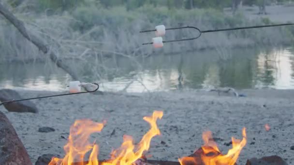 Kamp Ateşi Üzerine Kavurma Marshmallow — Stok video
