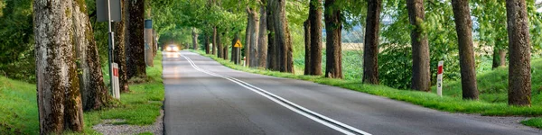 两边都有树木的郊区道路 柏油路全景 — 图库照片