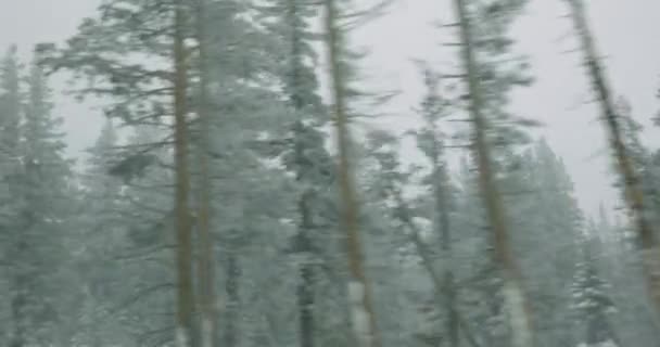 Conducir Por Carretera Con Nieve Que Cae Vista Panorámica Carretera — Vídeos de Stock