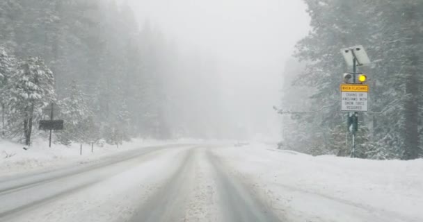 Дорозі Падаючим Снігом Вид Засніжену Крижану Гірську Дорогу Сосновими Деревами — стокове відео