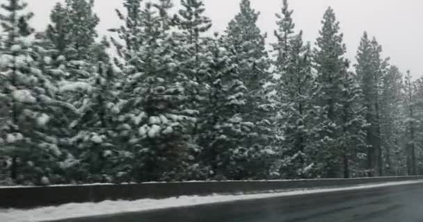 Conduite Sur Route Avec Chute Neige Vue Panoramique Route Montagne — Video