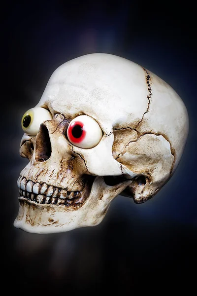 Crânio humano com olhos engraçados — Fotografia de Stock