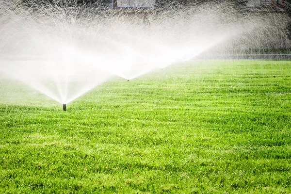 Sprinkler on the grass field — Stock Photo, Image