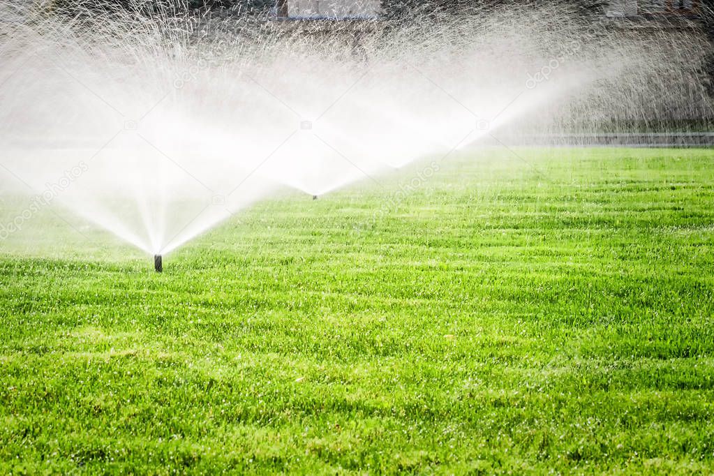 Sprinkler on the grass field