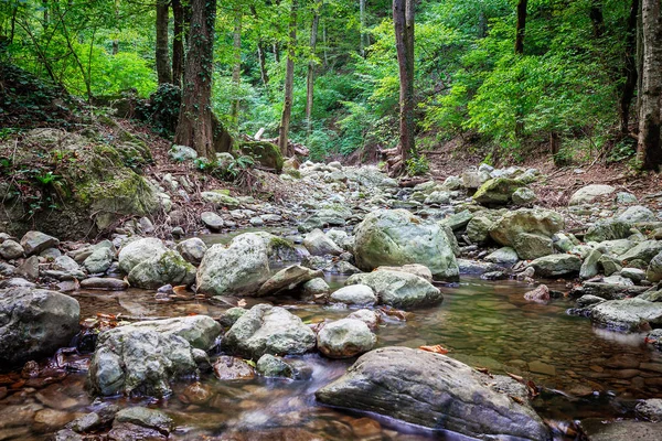 Ποταμός που ρέει μέσα από το πράσινο δάσος — Φωτογραφία Αρχείου