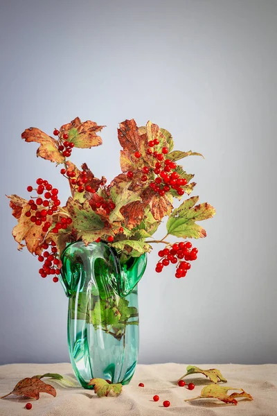 花瓶の枝に赤いガマズミ属の木 — ストック写真