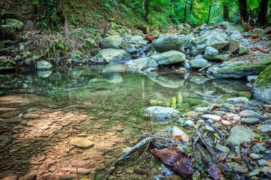 Dağ nehri yeşil ormandan akıyor.