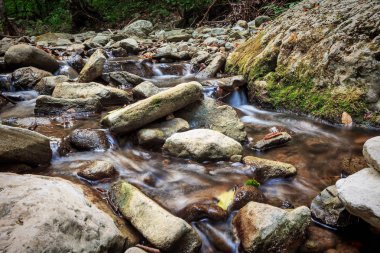 Dağ nehri yeşil ormandan akıyor.