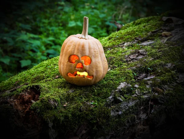 Scary Halloween pumpkin. — Stock Photo, Image