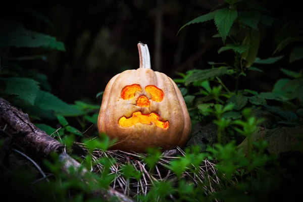 Scary Halloween pumpkin. — Stock Photo, Image