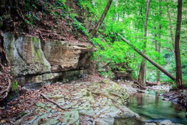 Tablomsu kayalar ve ağaçlar dağ Nehri üzerinde