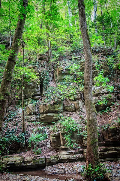 Rocas pictóricas y árboles en el río de montaña — Foto de Stock