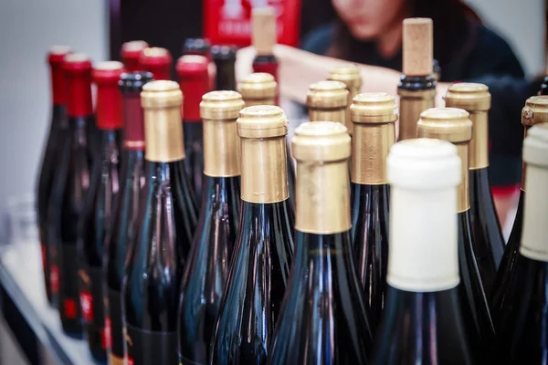 Bottiglie di vino in piedi in fila . — Foto Stock