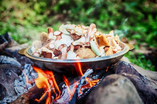 Cooking mushrooms on an open fire — Stock Photo, Image