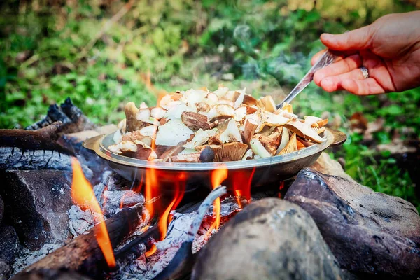 Cooking mushrooms on an open fire — Stock Photo, Image