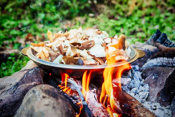 Mantar bir açık ateş üzerinde pişirme — Stok fotoğraf
