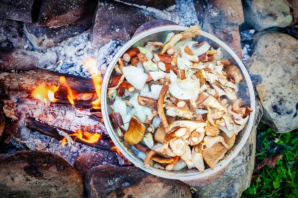 Mantar bir açık ateş üzerinde pişirme — Stok fotoğraf