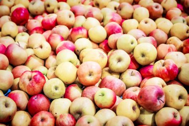 Kırmızı elma arka plan