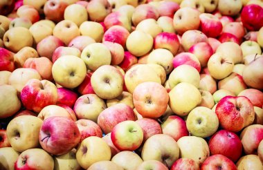 Kırmızı elma arka plan