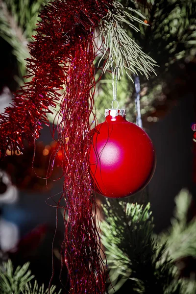 Christmas ball on the christmas tree — Stock Photo, Image