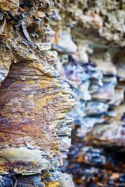 Fragmento de rocha sedimentar — Fotografia de Stock