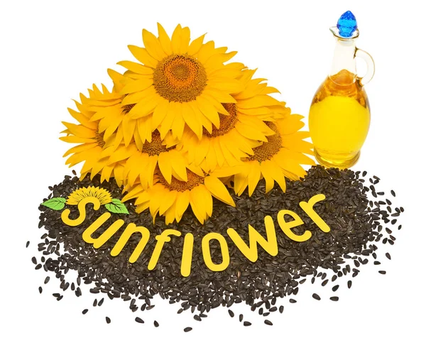 Kreativní Nápad Květ Slunečnice Semena Olej Skleněné Láhve Izolovaných Bílém Stock Obrázky