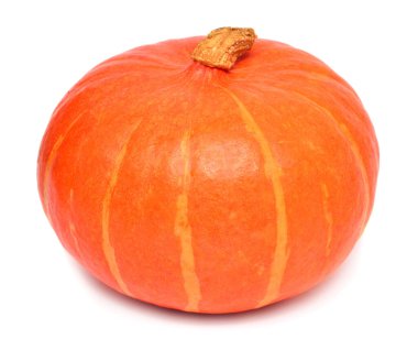 Beyaz arkaplanda kabak izole