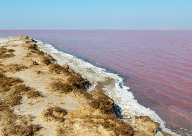 Son derece tuzlu Syvash Gölü kristal tuz ifadeleri ile mikroalg tarafından renkli, pembe. Olarak da bilinen Putrid deniz veya Rotten deniz. Ukrayna, Kherson Region, Crimea ve Arabat tükürük.