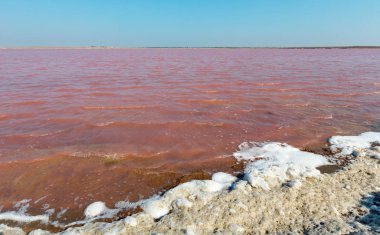 Son derece tuzlu Syvash Gölü kristal tuz ifadeleri ile mikroalg tarafından renkli, pembe. Olarak da bilinen Putrid deniz veya Rotten deniz. Ukrayna, Kherson Region, Crimea ve Arabat tükürük.