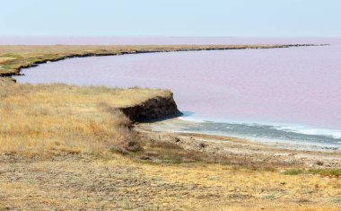Son derece tuzlu Syvash Gölü mikroalg tarafından renkli, pembe. Olarak da bilinen Putrid deniz veya Rotten deniz. Ukrayna, Kherson Region, Crimea ve Arabat tükürük.