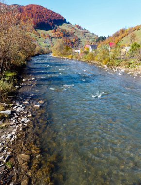 Sonbahar Karpat dağ beyaz Tysa nehir manzarası ile çok renkli sarı-turuncu-kırmızı-kahverengi ağaçta eğimi ve nehirde dağ gorge (Transcarpathia, Ukrayna).