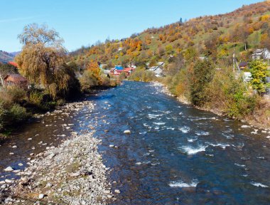Sonbahar Karpat dağ beyaz Tysa nehir manzarası ile çok renkli sarı-turuncu-kırmızı-kahverengi ağaçta eğimi ve nehirde dağ gorge (Transcarpathia, Ukrayna).