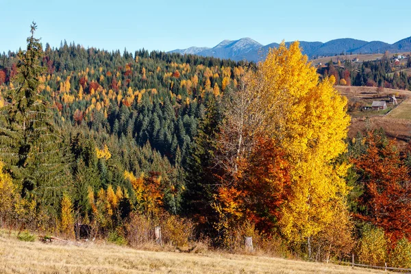 Matin Montagnes Des Carpates Hameaux Villageois Sur Les Pentes Village — Photo