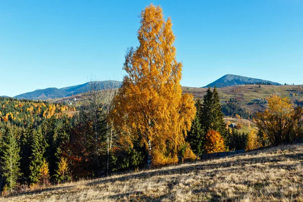 Morning Carpathian mountains and village hamlets on slopes (Yablunytsia village and pass, Ivano-Frankivsk oblast, Ukraine).