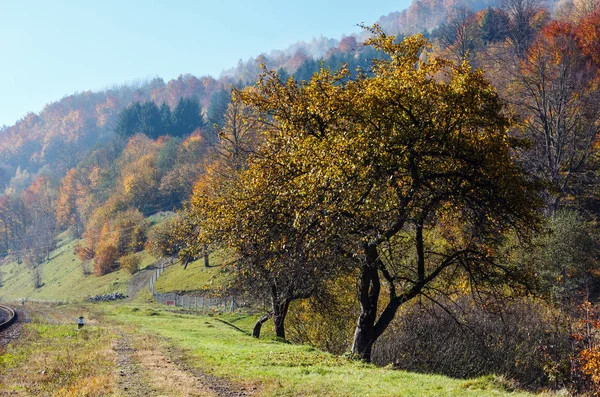 Herfst Karpatische Bergen Landschap Met Veelkleurige Bomen Helling Okres Rachiv — Stockfoto