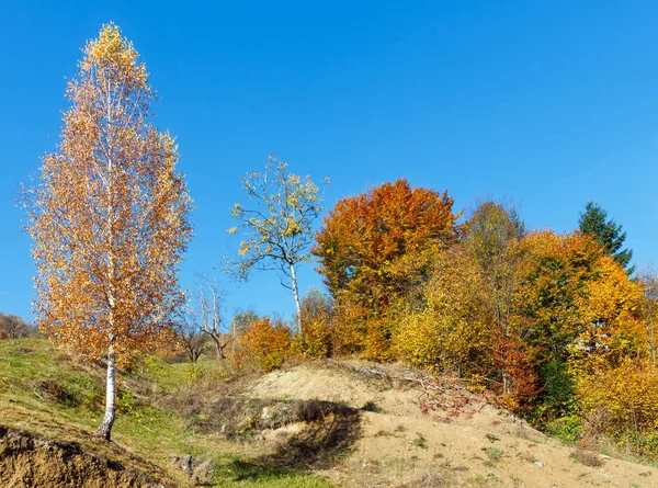ラホフ地区 ザカルパト ウクライナの斜面に色とりどりの木が秋のカルパティア山脈の景色 — ストック写真