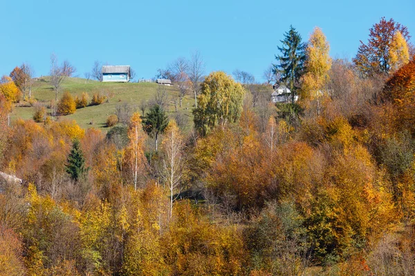 Autumn Carpathian Mountains Landscape Multicolored Yellow Orange Red Brown Trees — Stock Photo, Image