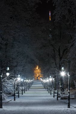 Çok güzel bir gece kış Ivan Franko park geçit Lviv Merkezi şehir (Ukrayna) ve ışıklı Vysokyj Zamok (yüksek Kalesi) Tv içinde kule.