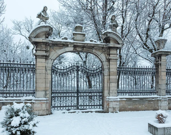 Tor Auf Georges Kathedrale Frühen Morgen Winterhof Lwiw Ukraine — Stockfoto