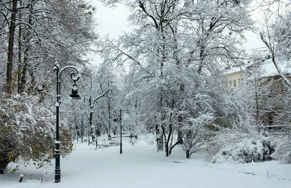 Bella Mattina Nuvoloso Inverno Ivan Franko Parco Nel Centro Della — Foto Stock