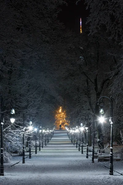 Vacker Natt Vinter Ivan Franko Park Gångväg Centrum Lviv Staden — Stockfoto