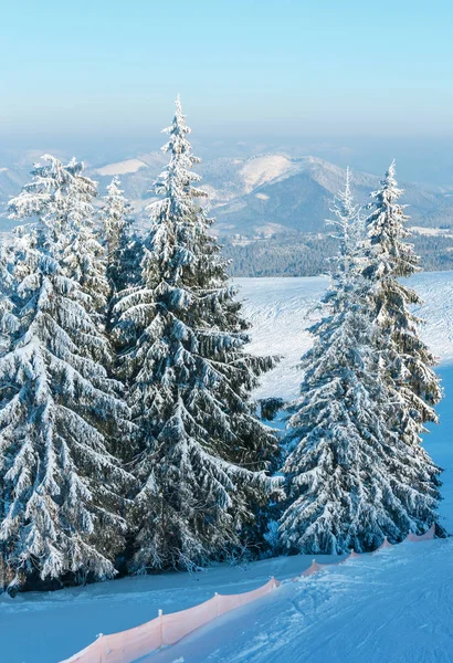 朝冬穏やかな山の風景美しい霜の木と山の斜面 カルパティア山脈 ウクライナの追跡の吹きだまりをスキー — ストック写真