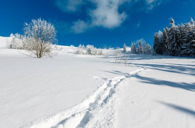 Kış sakin dağ manzarası güzel süs ağaçları ve snowdrifts aracılığıyla patika yolda dağ yamacı (Karpat Dağları, Ukrayna)